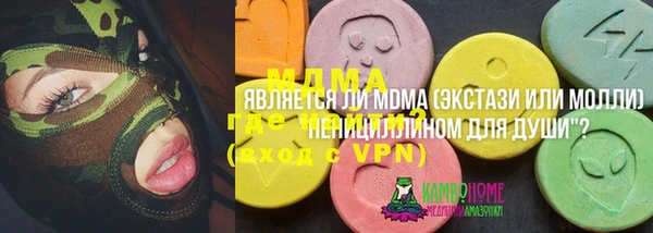 индика Абаза