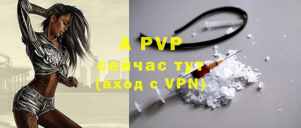 индика Абаза