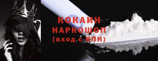индика Абаза