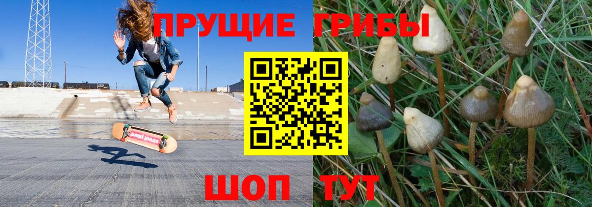 Псилоцибиновые грибы Magic Shrooms Новоалександровск