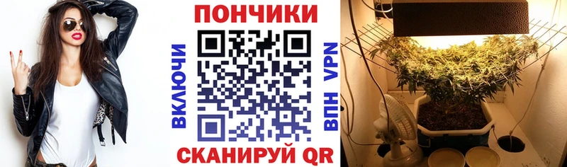 blacksprut ССЫЛКА  Новоалександровск  Бошки марихуана ГИДРОПОН 